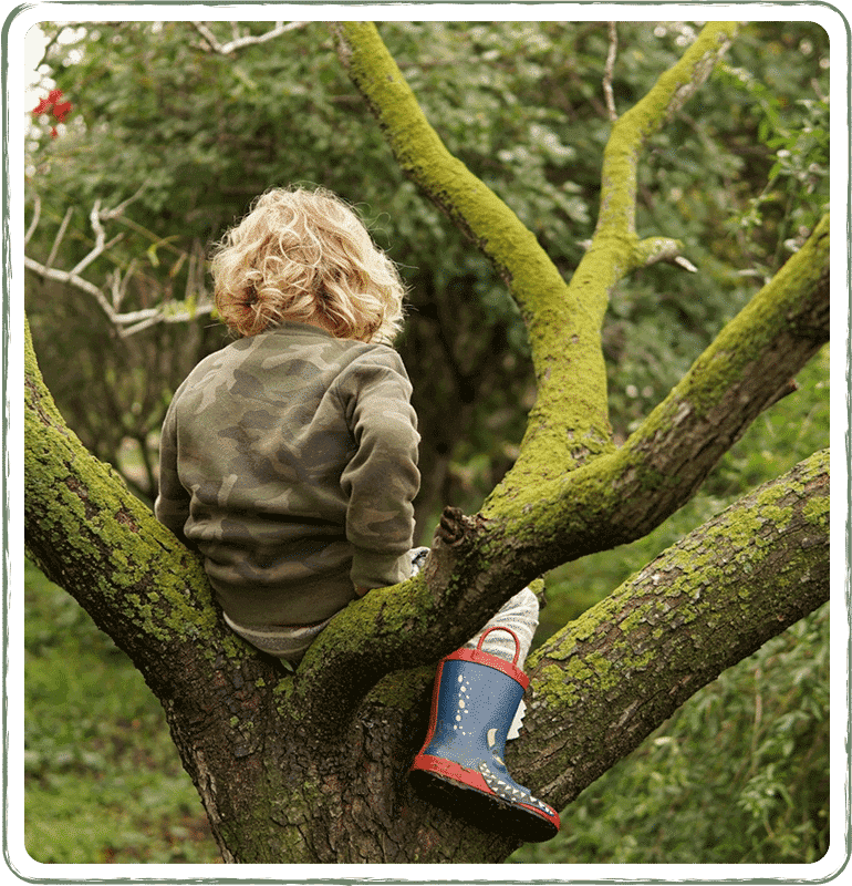  Child standing beside a moss-covered tree in a quiet forest, viewed from behind with soft light through branches