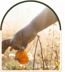 Child’s hand gently lifting a green leaf among small twigs and forest floor textures in natural outdoor light