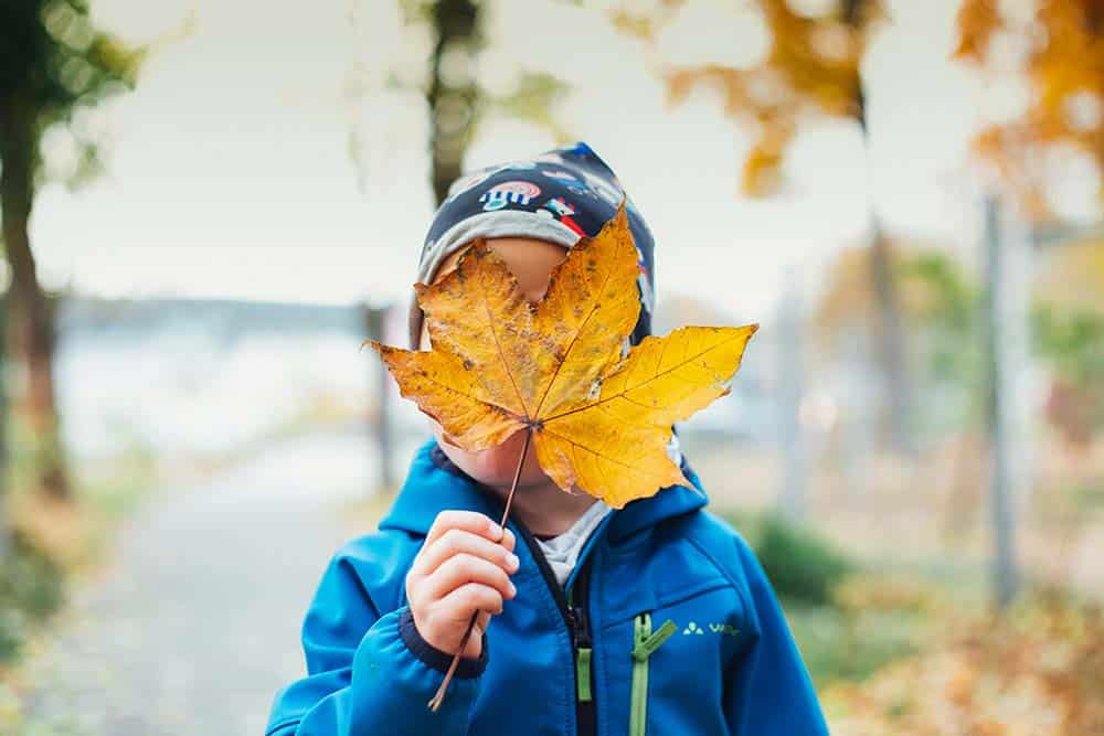 Child holding brown leaf
